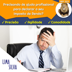 Precisando de ajuda profissional para declarar o seu Imposto de Renda?