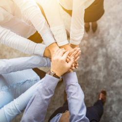 Use o autoconhecimento como exercício do poder consciente e uma nova forma de liderança