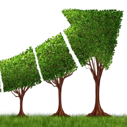 ESG ajuda o seu negócio a prosperar e brilhar